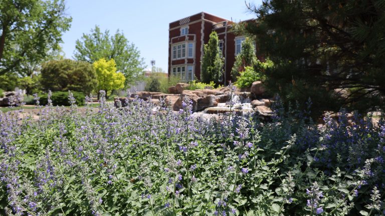 Flowers on campus