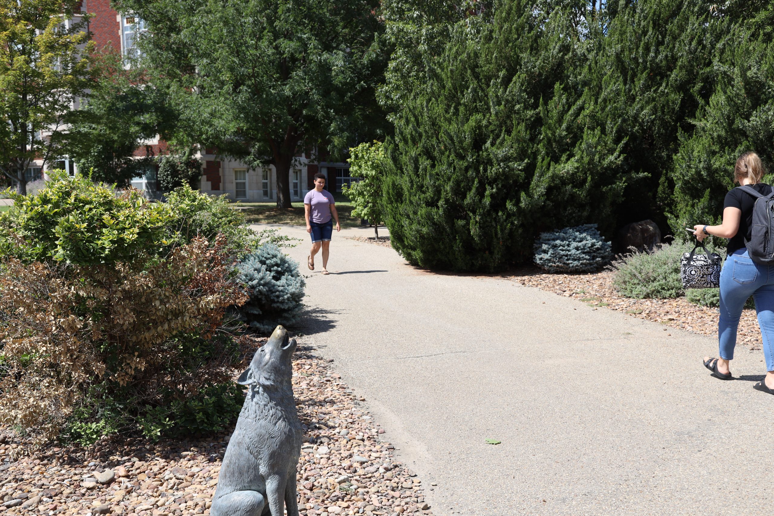 Student walking toward camera on campus