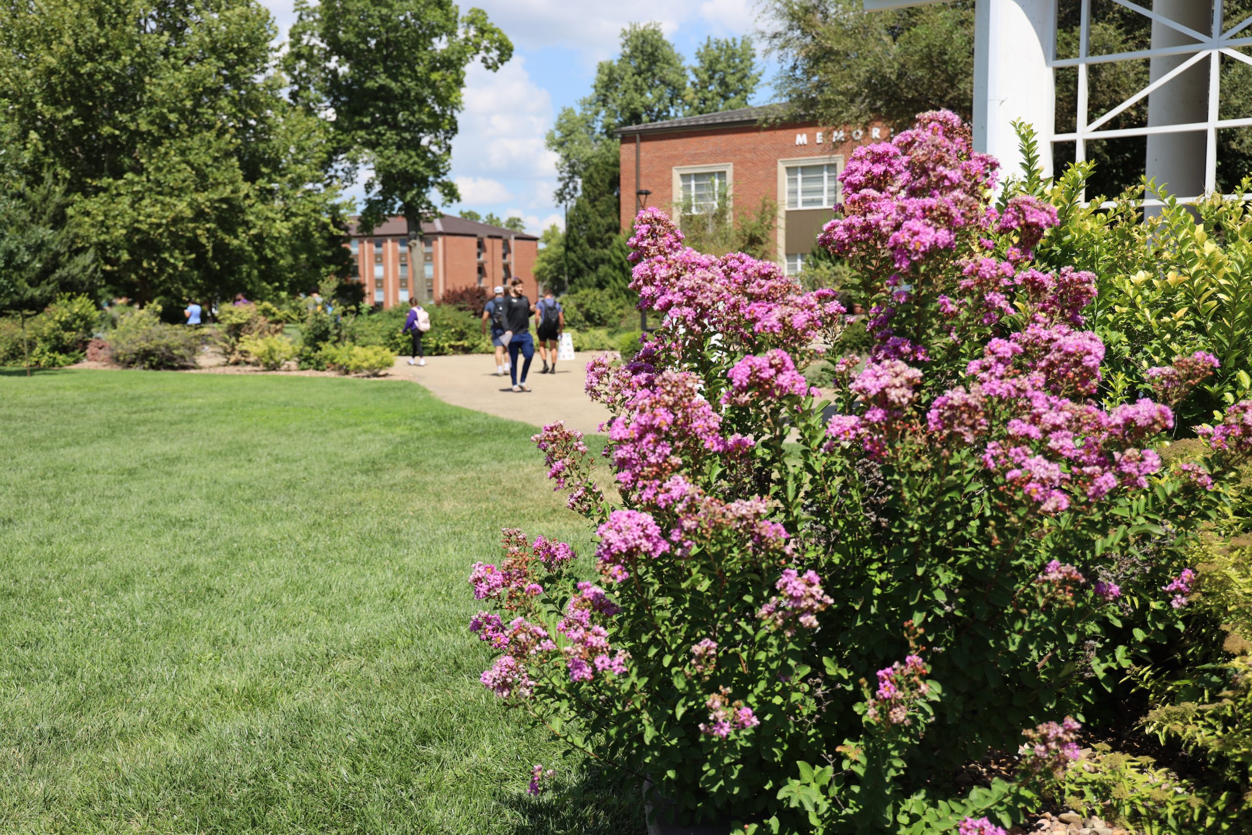 Flowers on campus