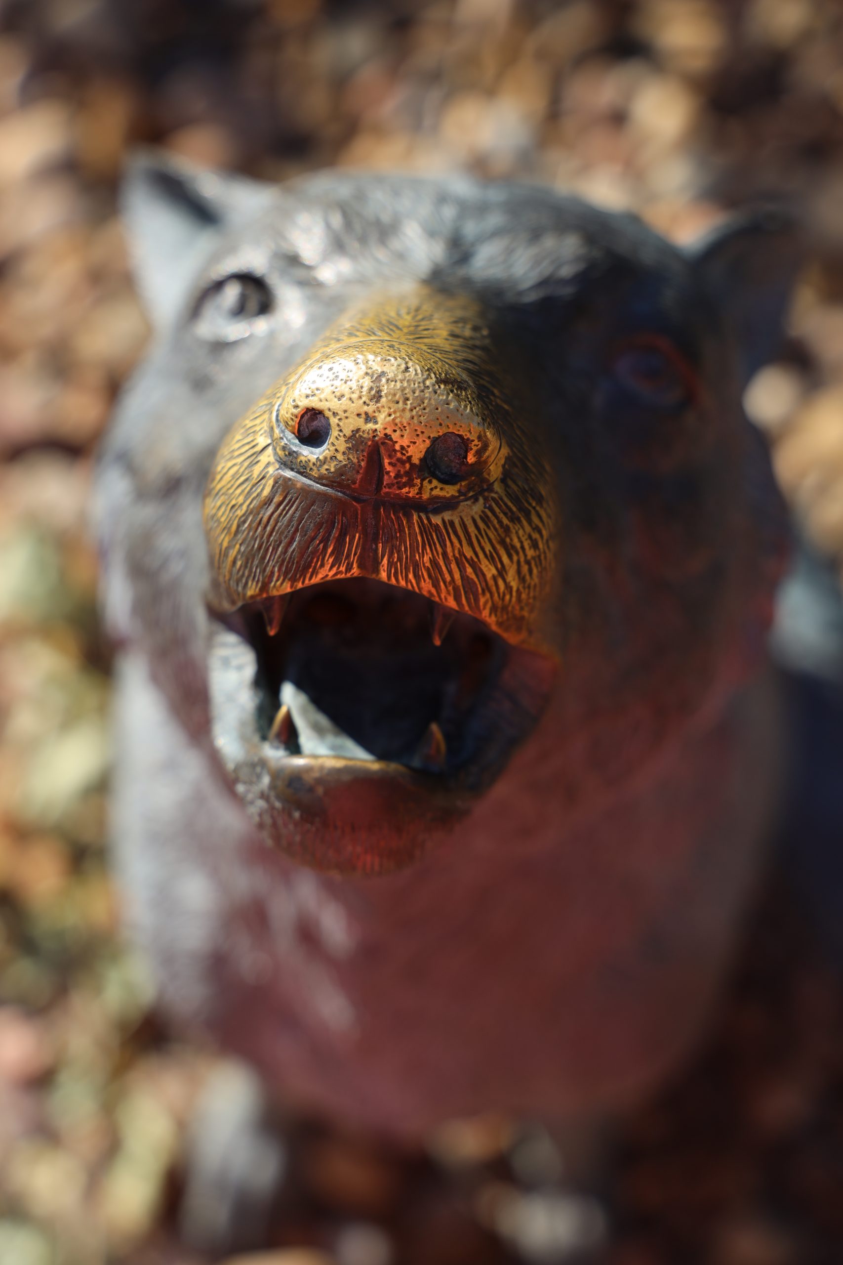 Nose of Coyote statue