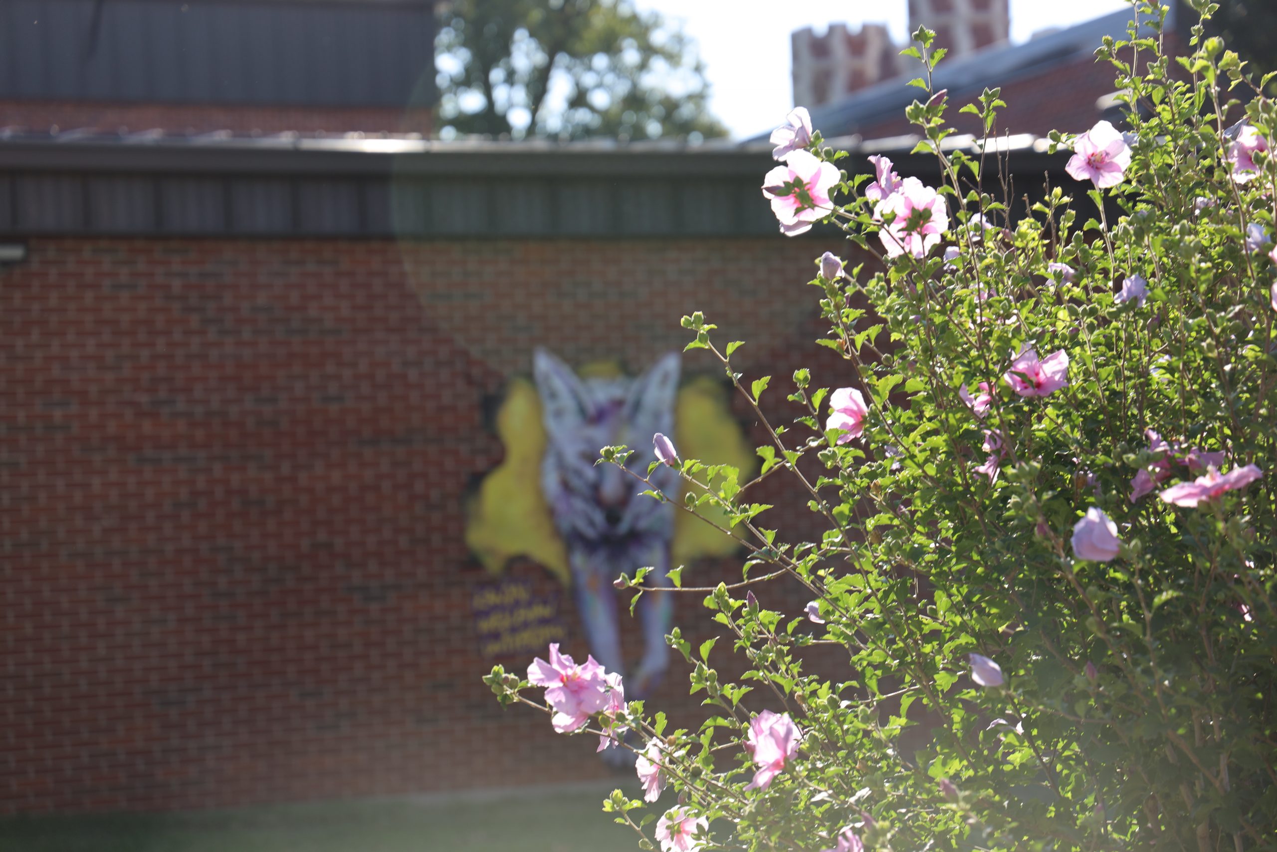 Flowers on campus