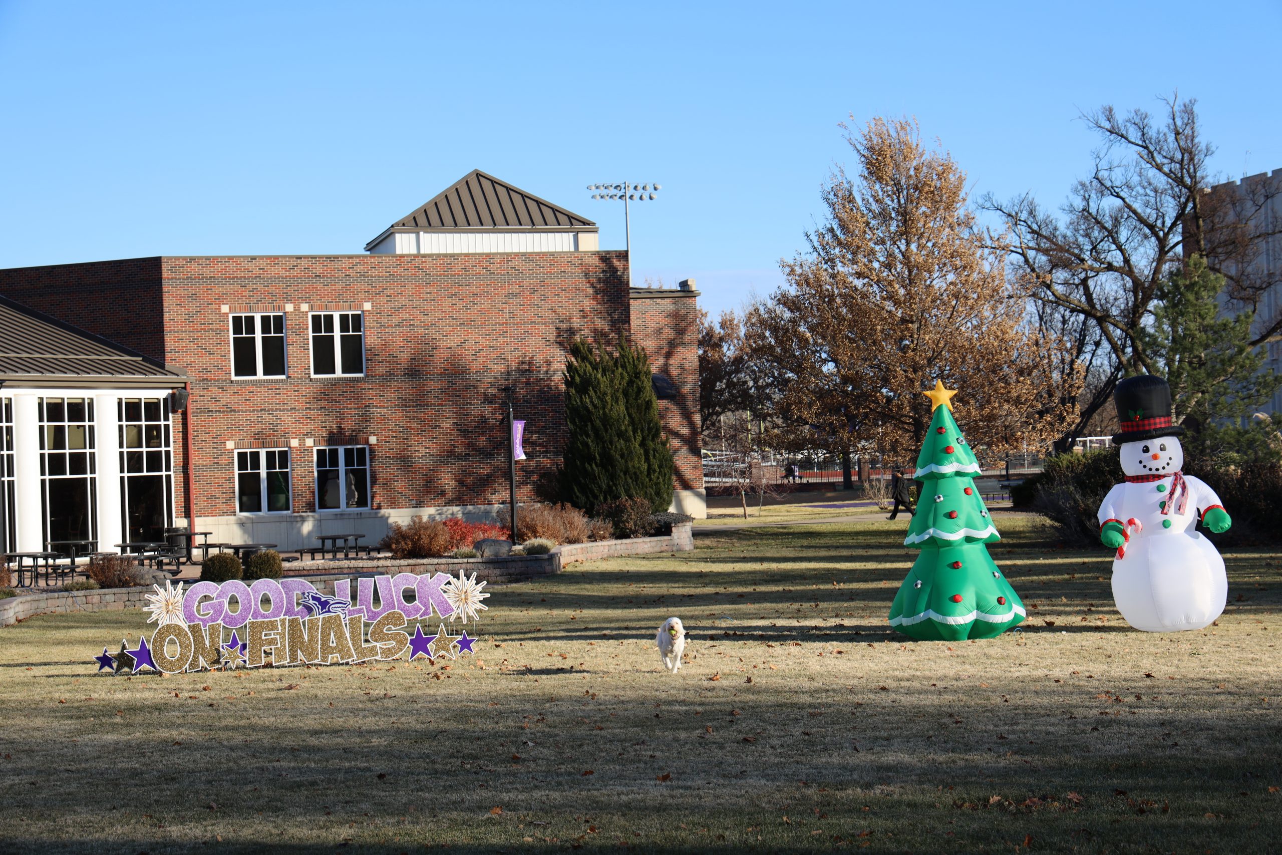 Christmas decorations on Bevan Green