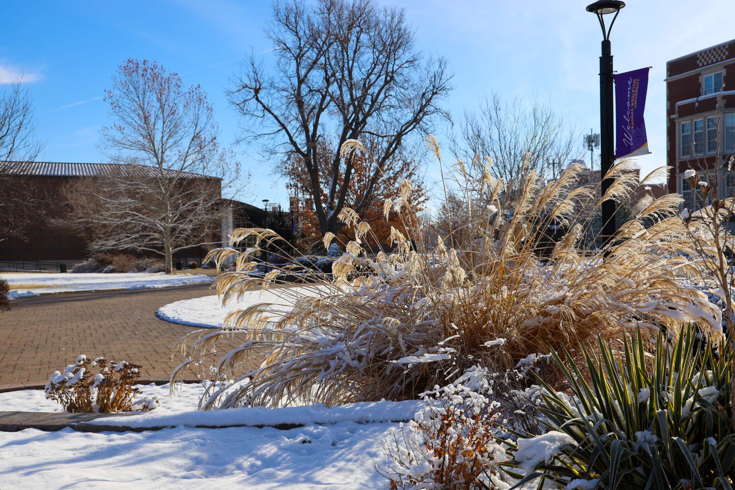 Snow on campus