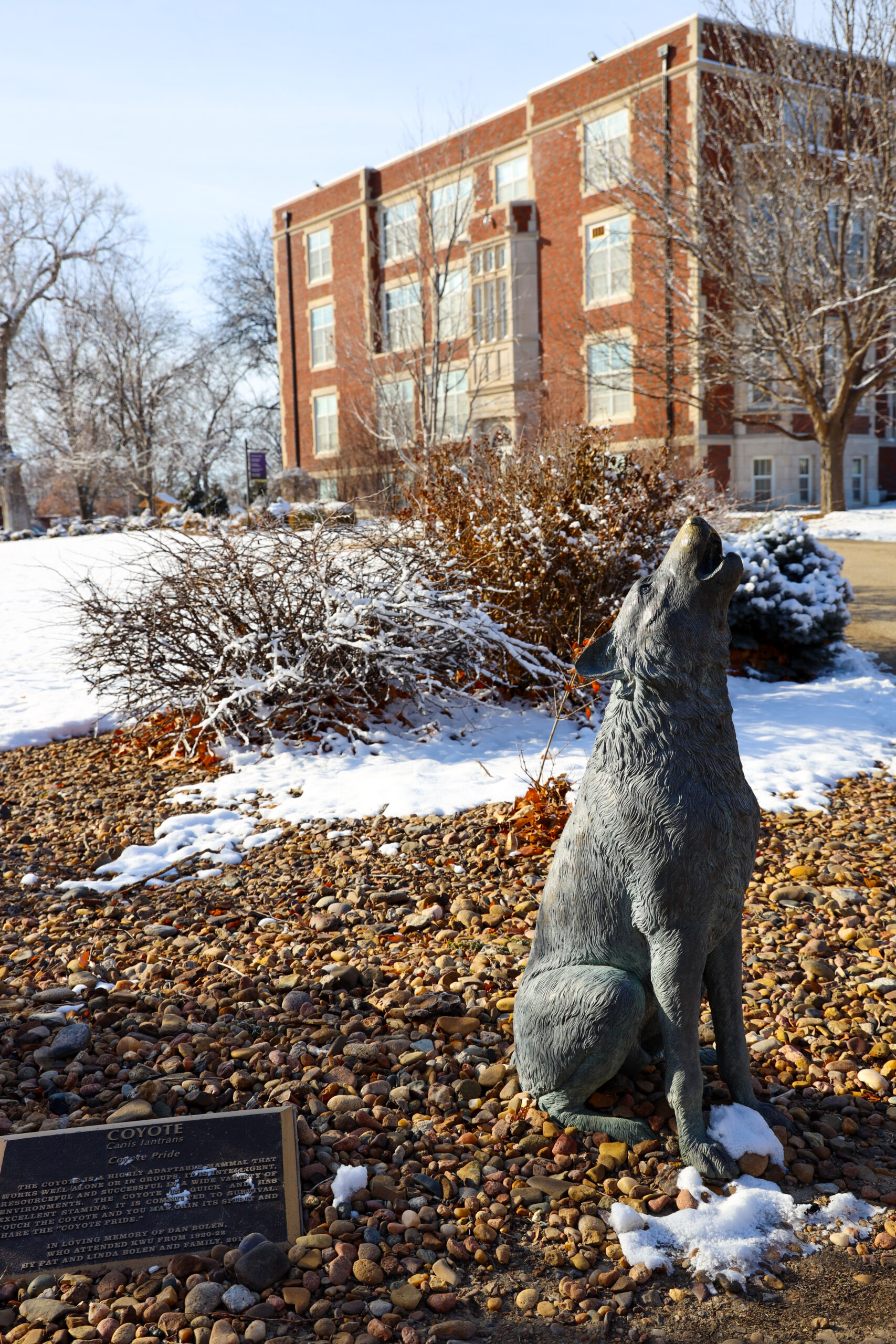 Snow on campus