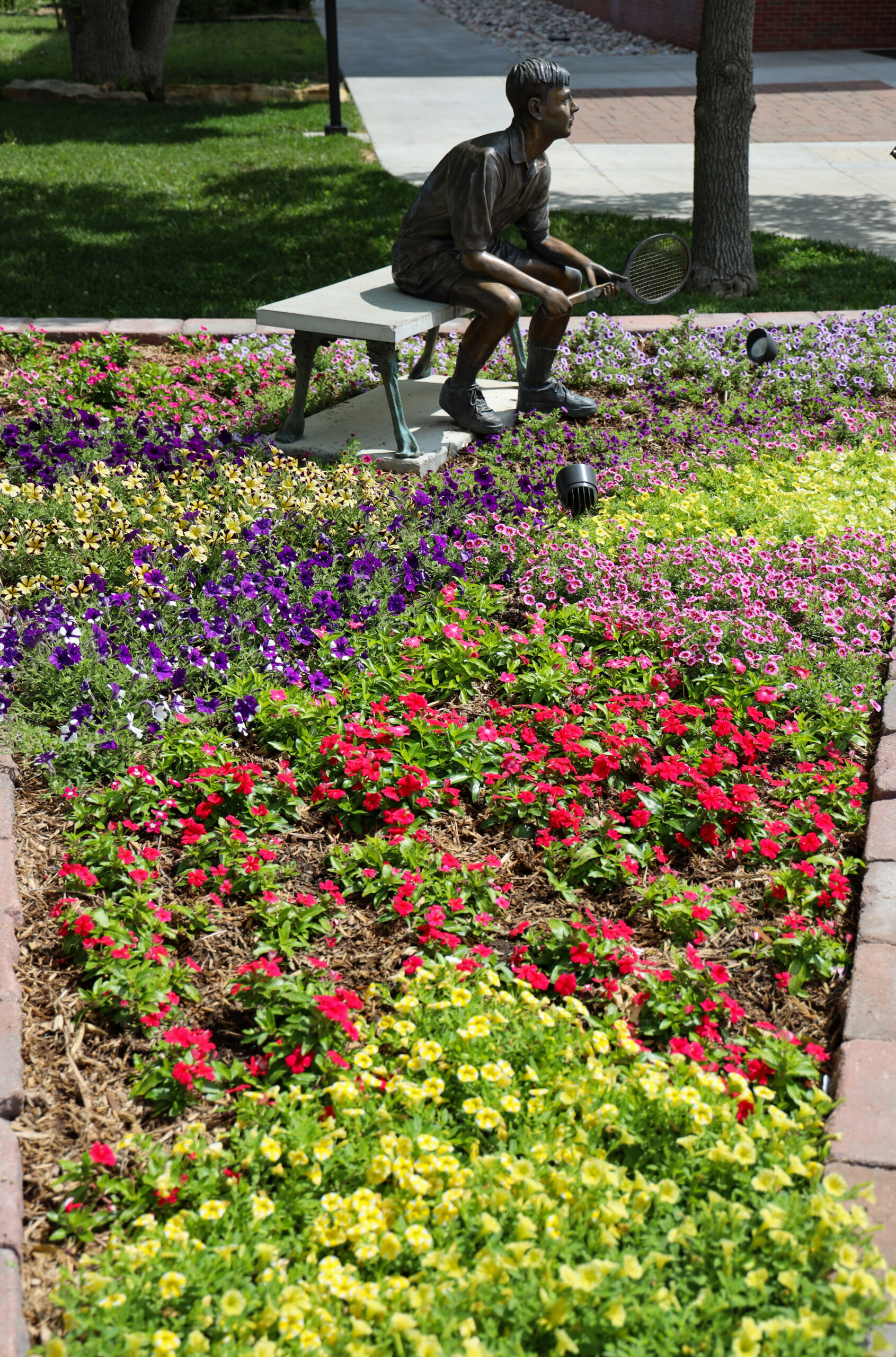 Greenery on campus