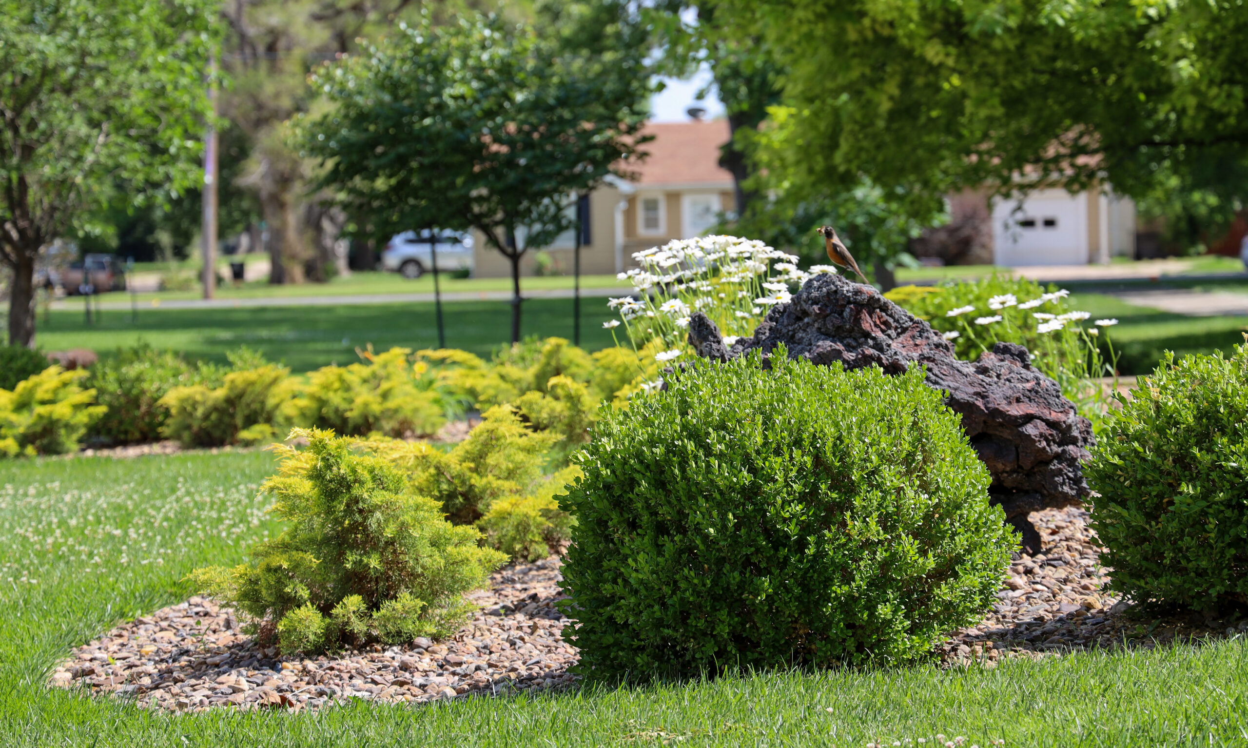 Greenery on campus