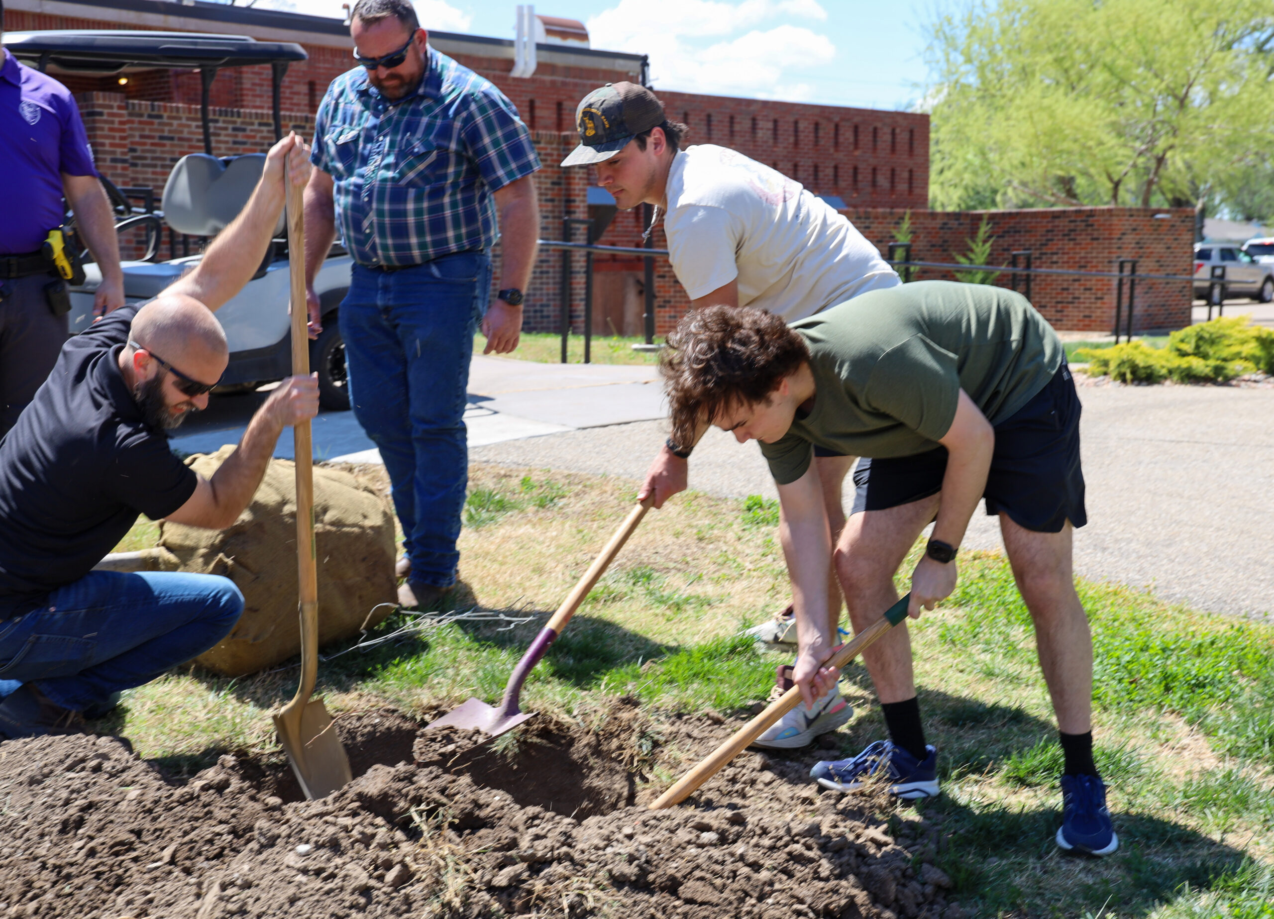 Men planting trees on campus