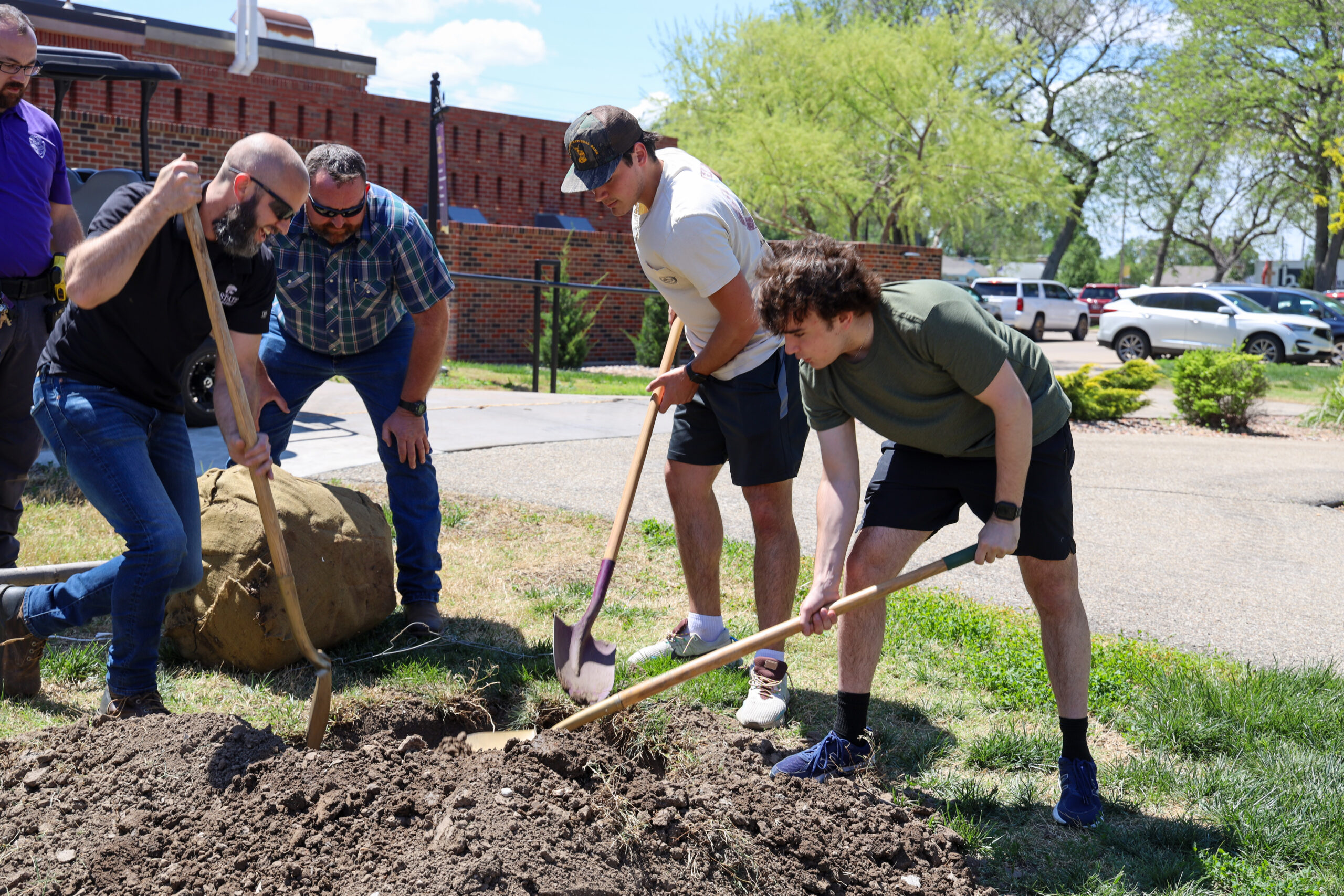 Men planting trees