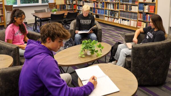 Students studying in library