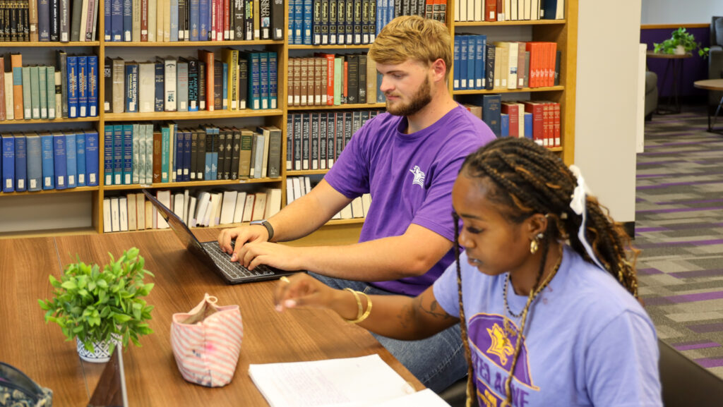 Students in library working