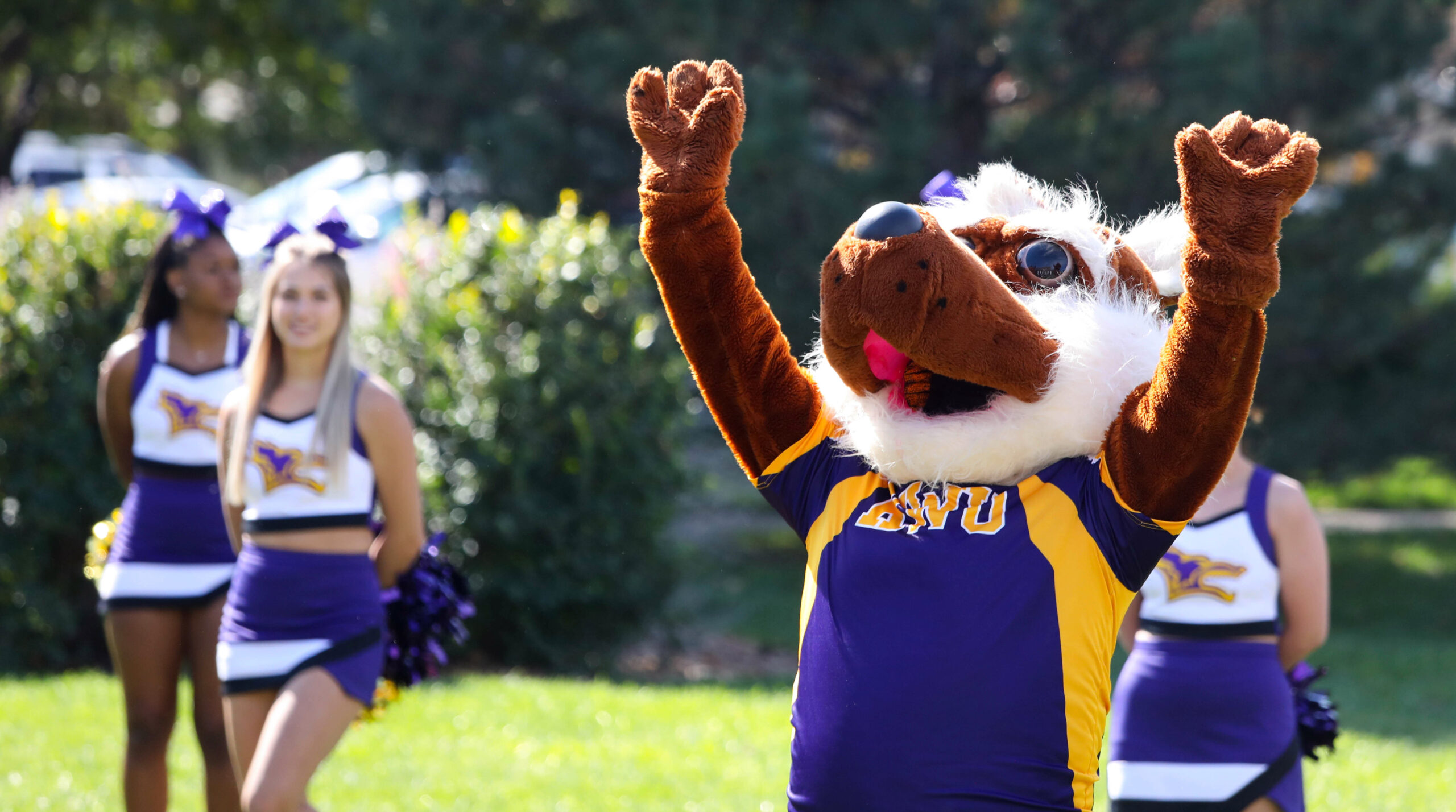 Mascot celebrating near people