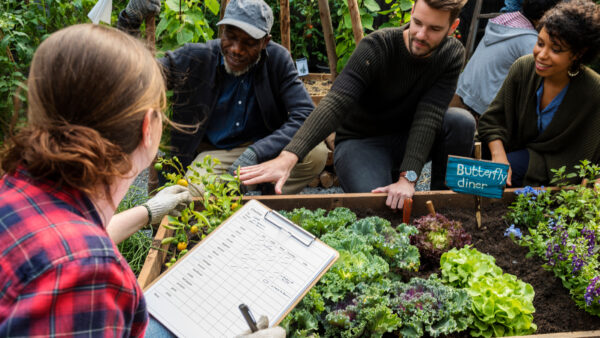 People farming and planting