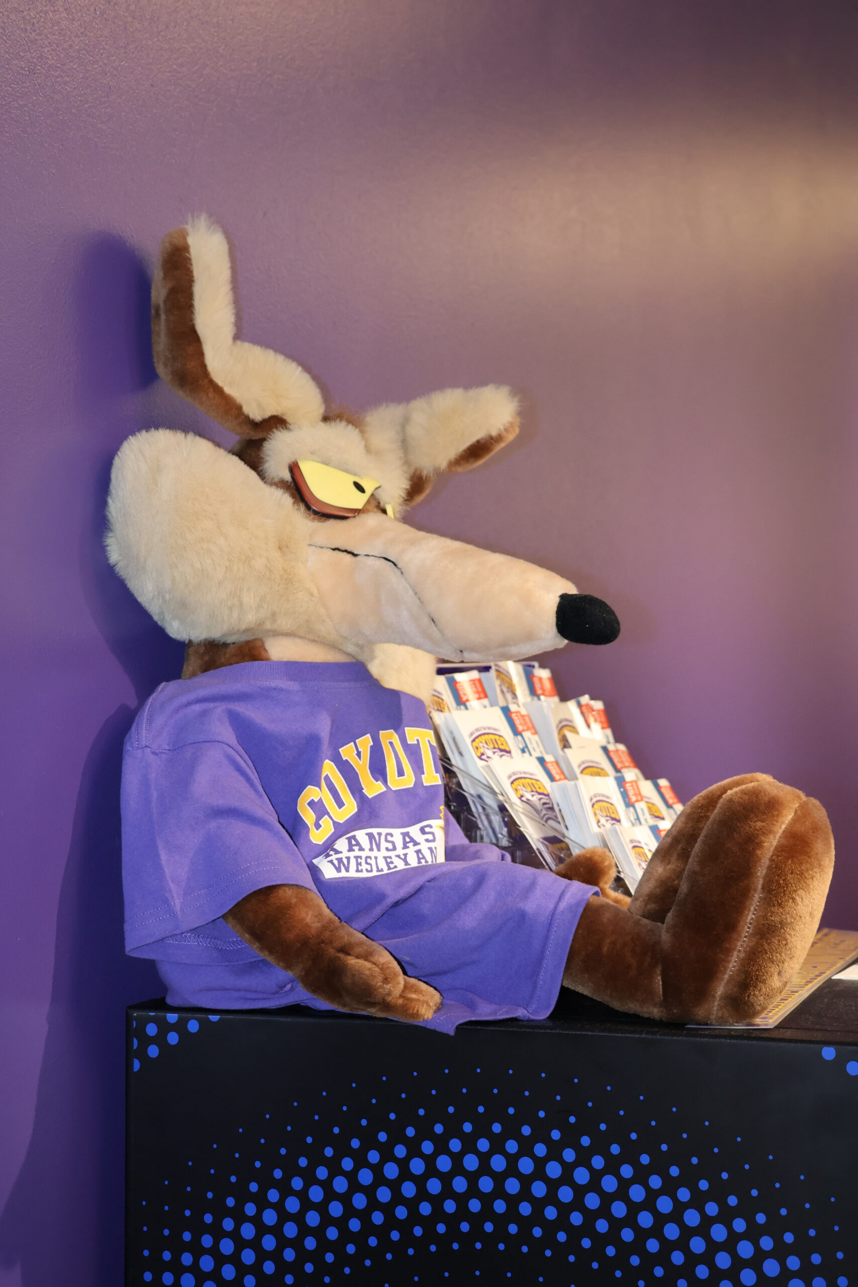 Stuffed Coyote