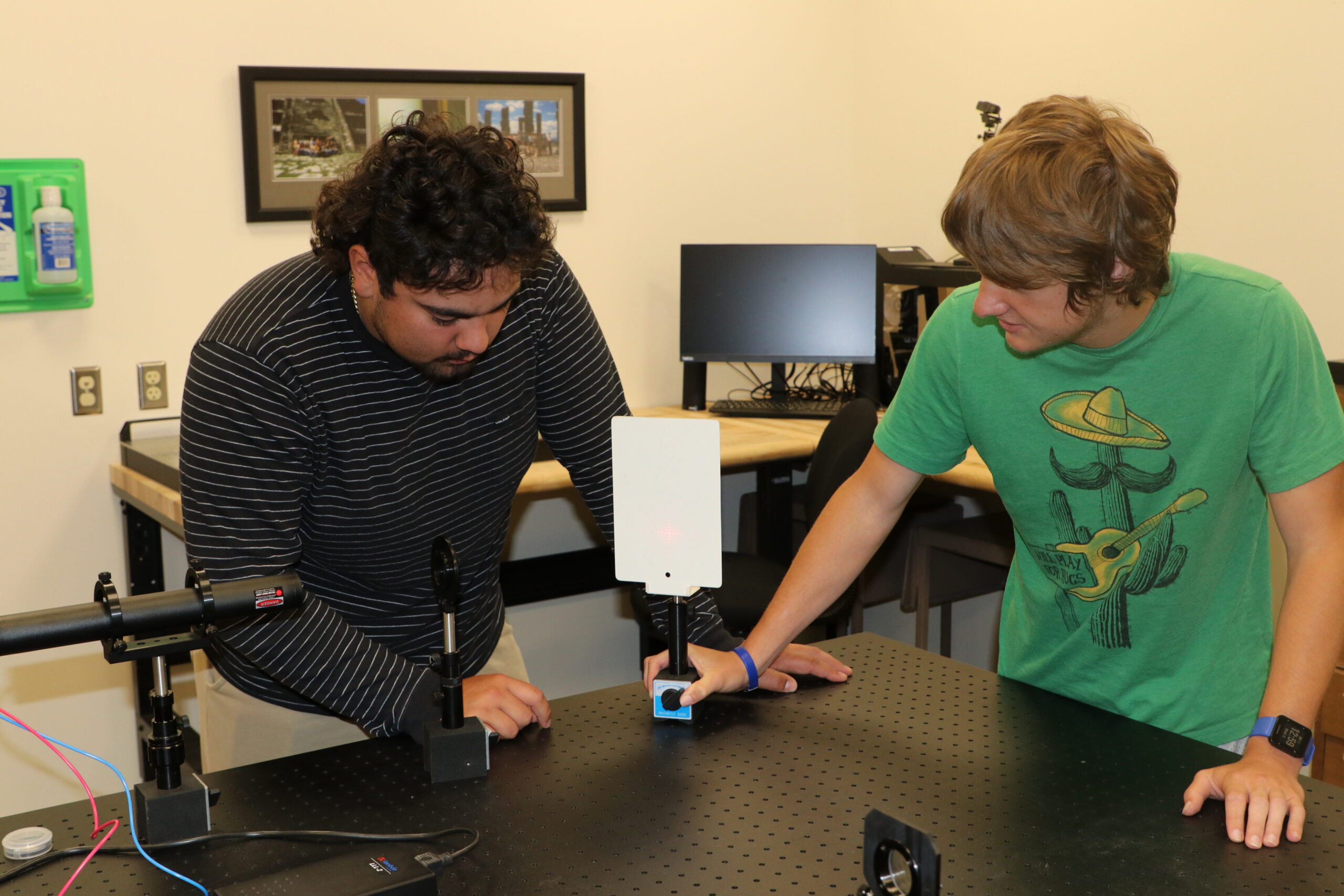 Lab partners working together