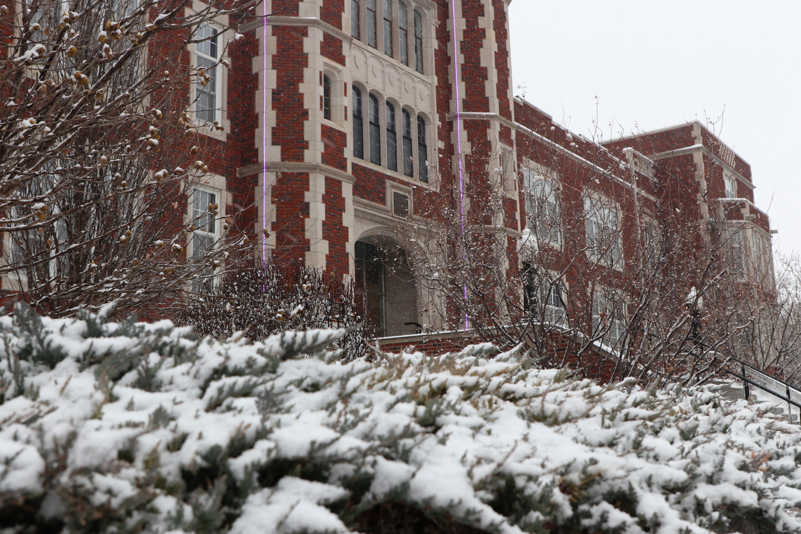 Pioneer Hall - Light Snow - January 5, 2024