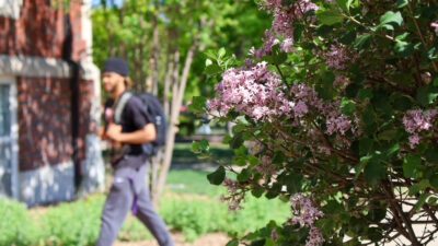 Student behind lilacs