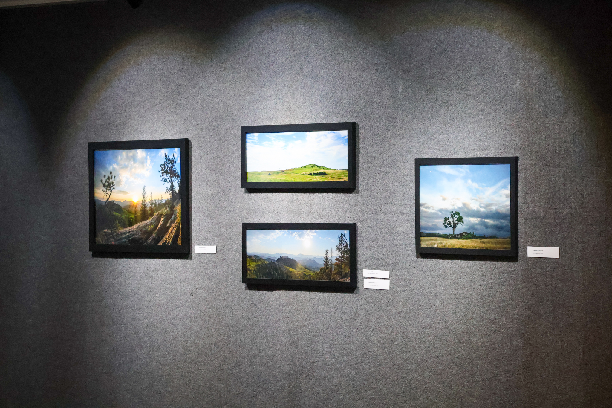 Portraits inside the gallery