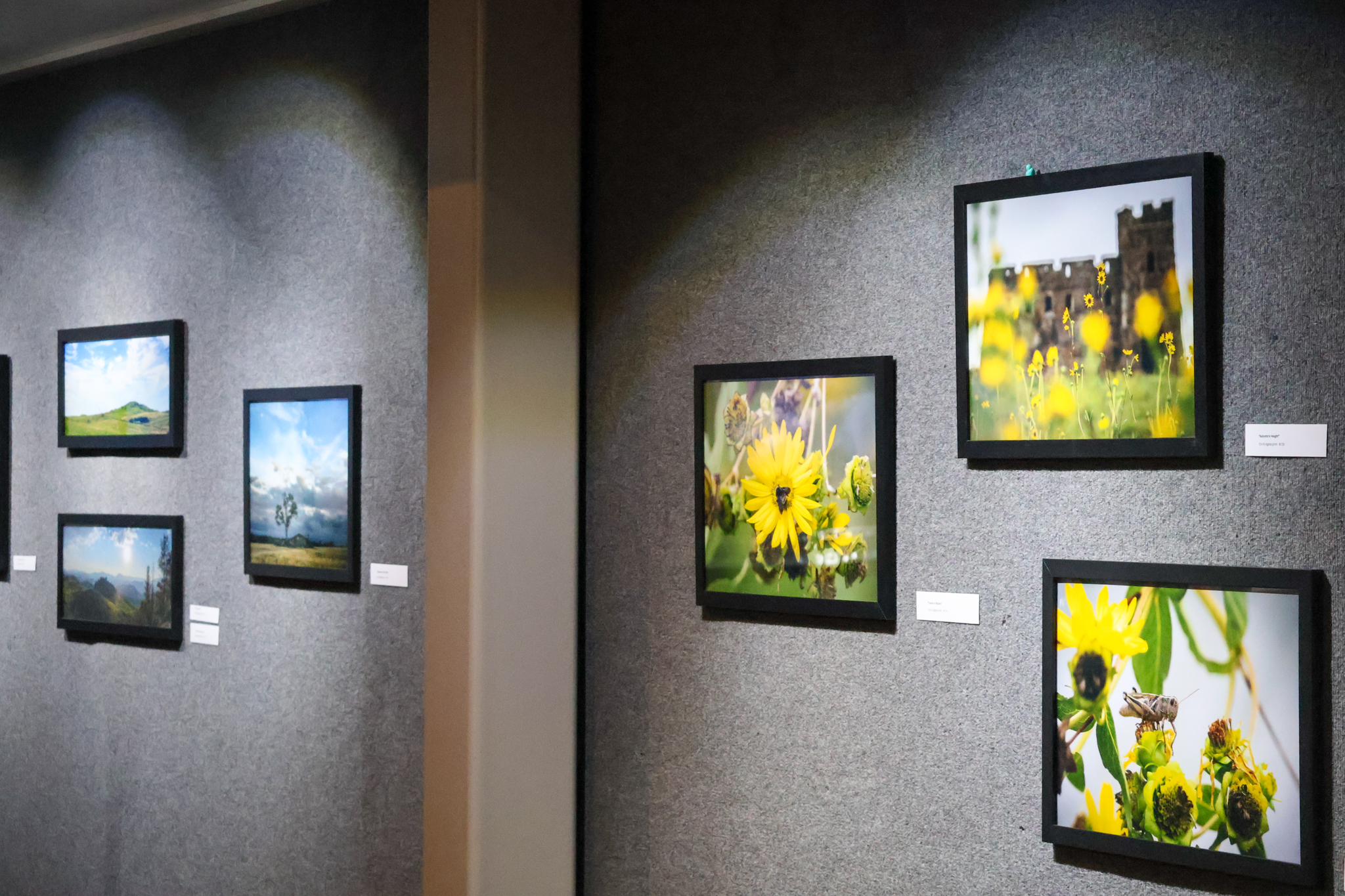 Angled shot of various photos displayed