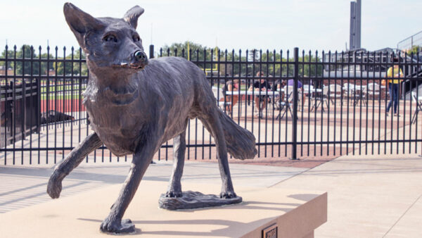 Coyote statue