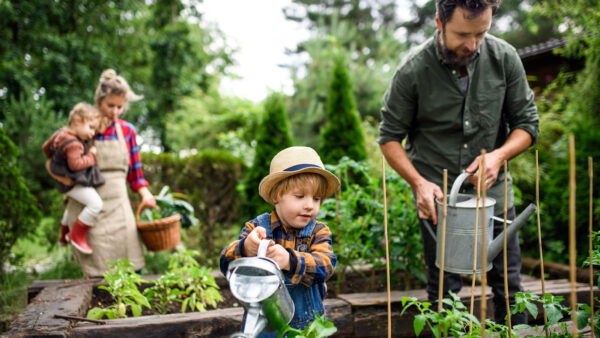 watering-garden